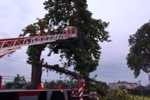 Strażacy usuwają skutki wichur, m.in. powalone drzewa