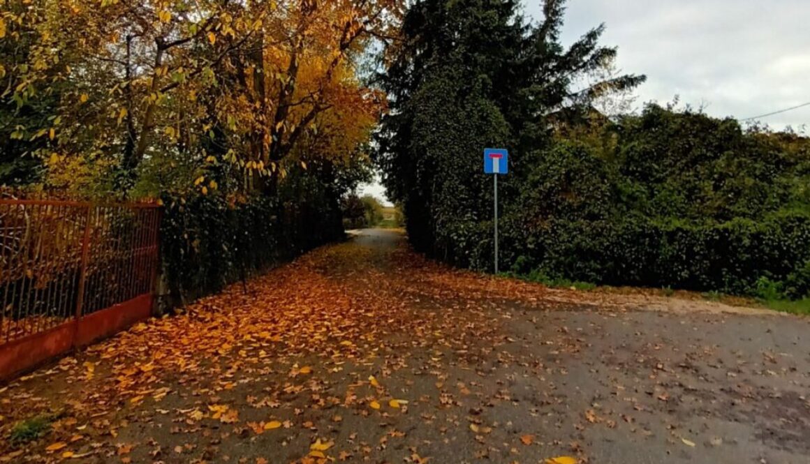 Droga w gminie Łysomice