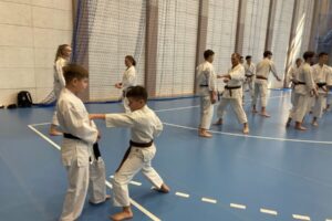 Treningi karate w Obrowie