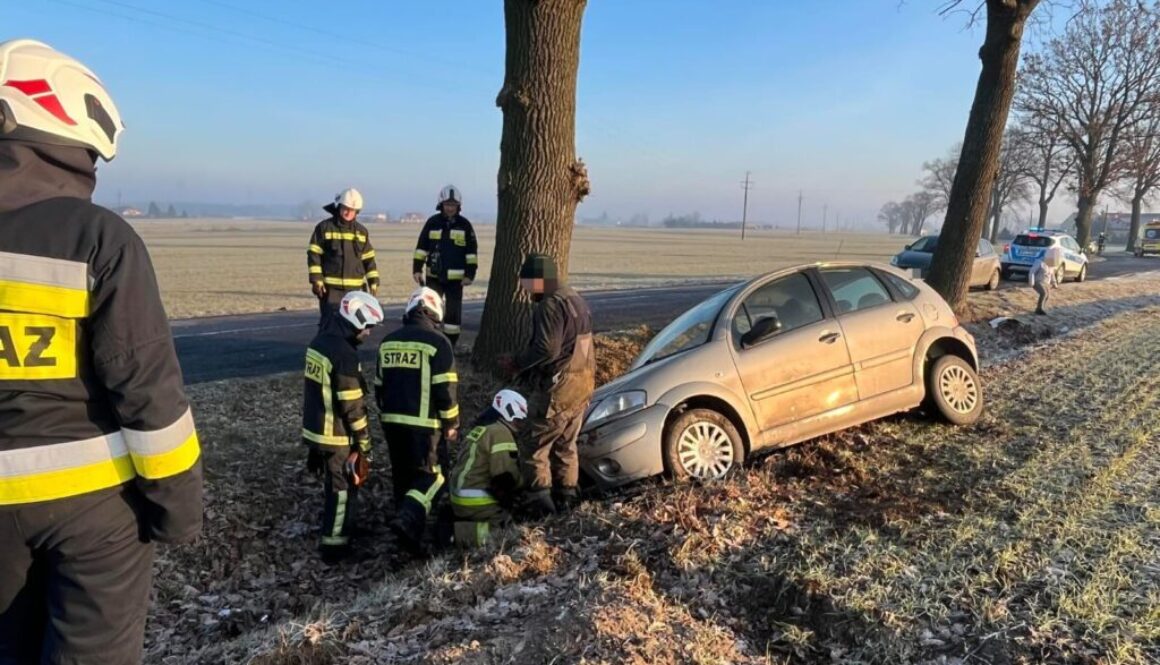 Samochód uderzył w drzewo w Cichoradzu (gm. Zławieś Wielka)